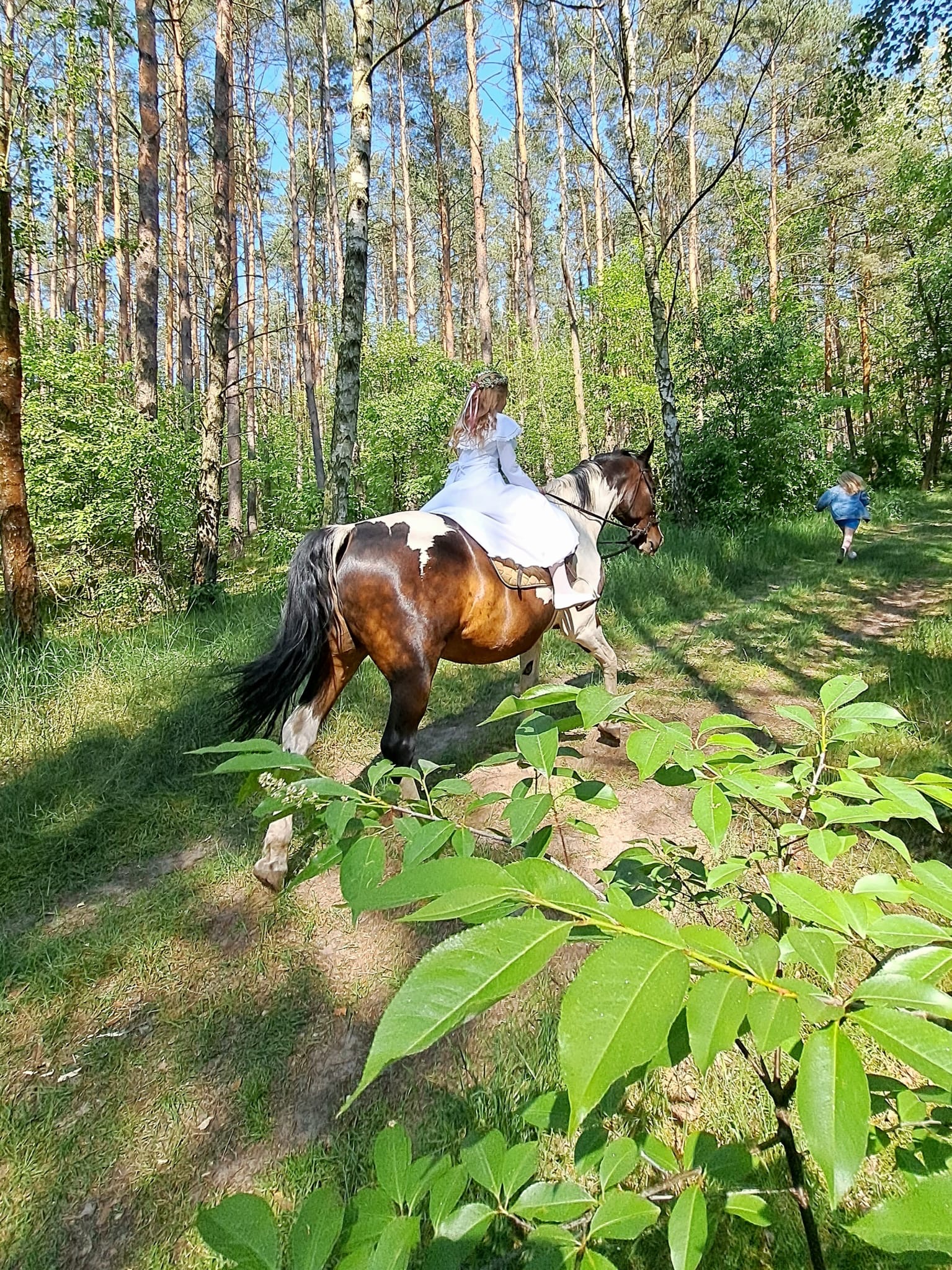 Jazda konna przez las – Agroturystyka Namyślin